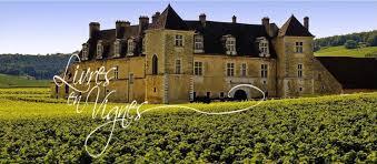 Livres en vigne